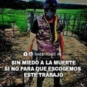 Meet your Posher, Luis